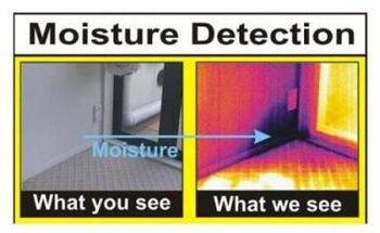 leakdetection.jpg